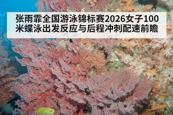 张雨霏全国游泳锦标赛2026女子100米蝶泳出发反应与后程冲刺配速前瞻